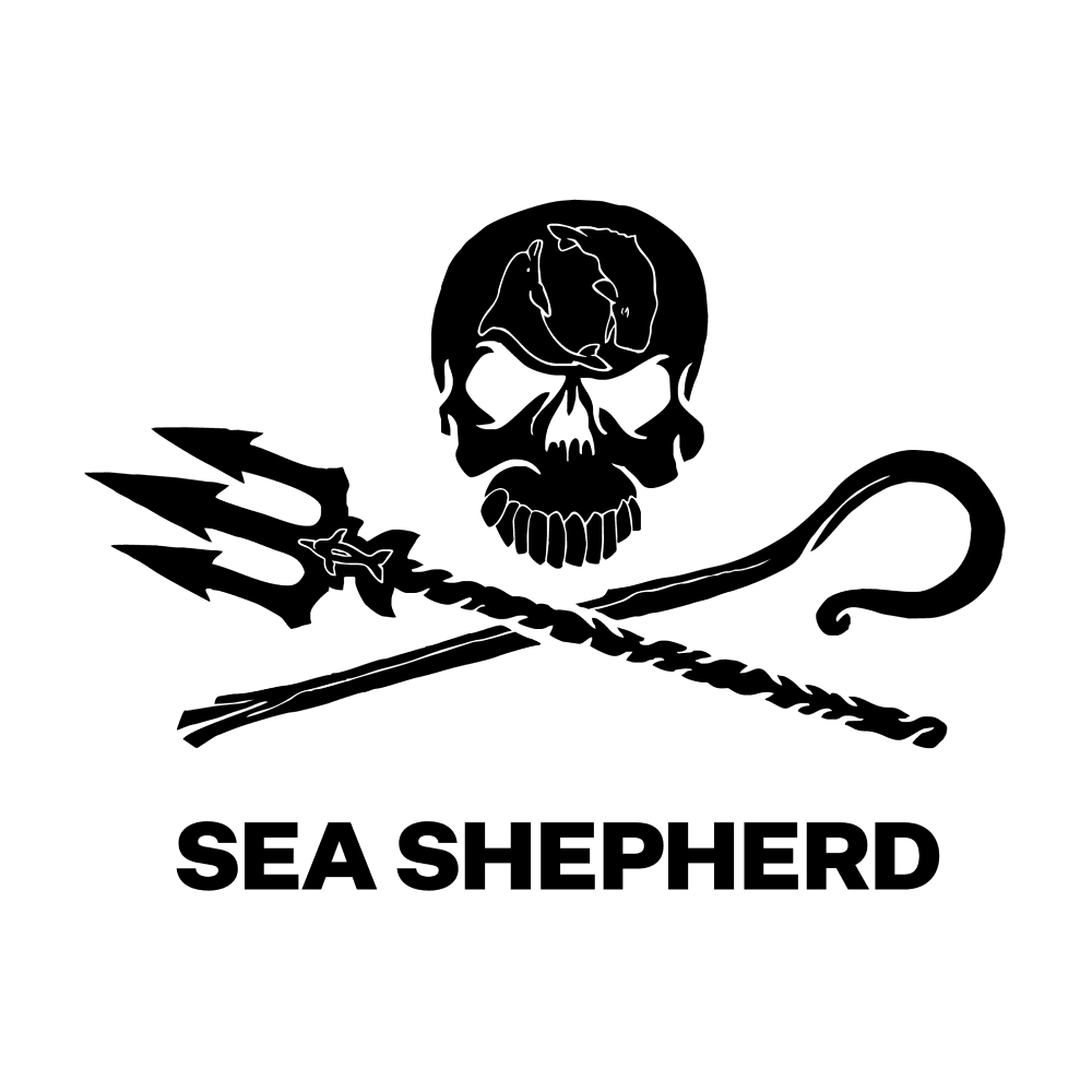 Sea Shepherd - Website Redesign